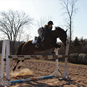 Meet your Posher, Nicole